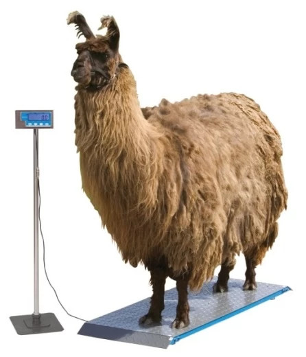 Платформенные весы PS1000 до 500кг