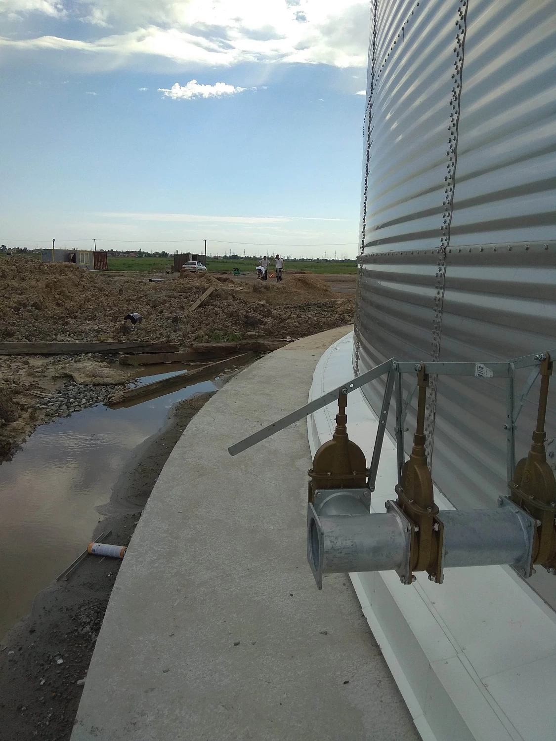 МТФ "ТОЛМАЧОВСКОЕ" 