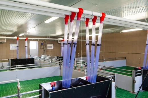 Кормовой автомат Стандарт AP 4W для подсвинков, в разобранном виде