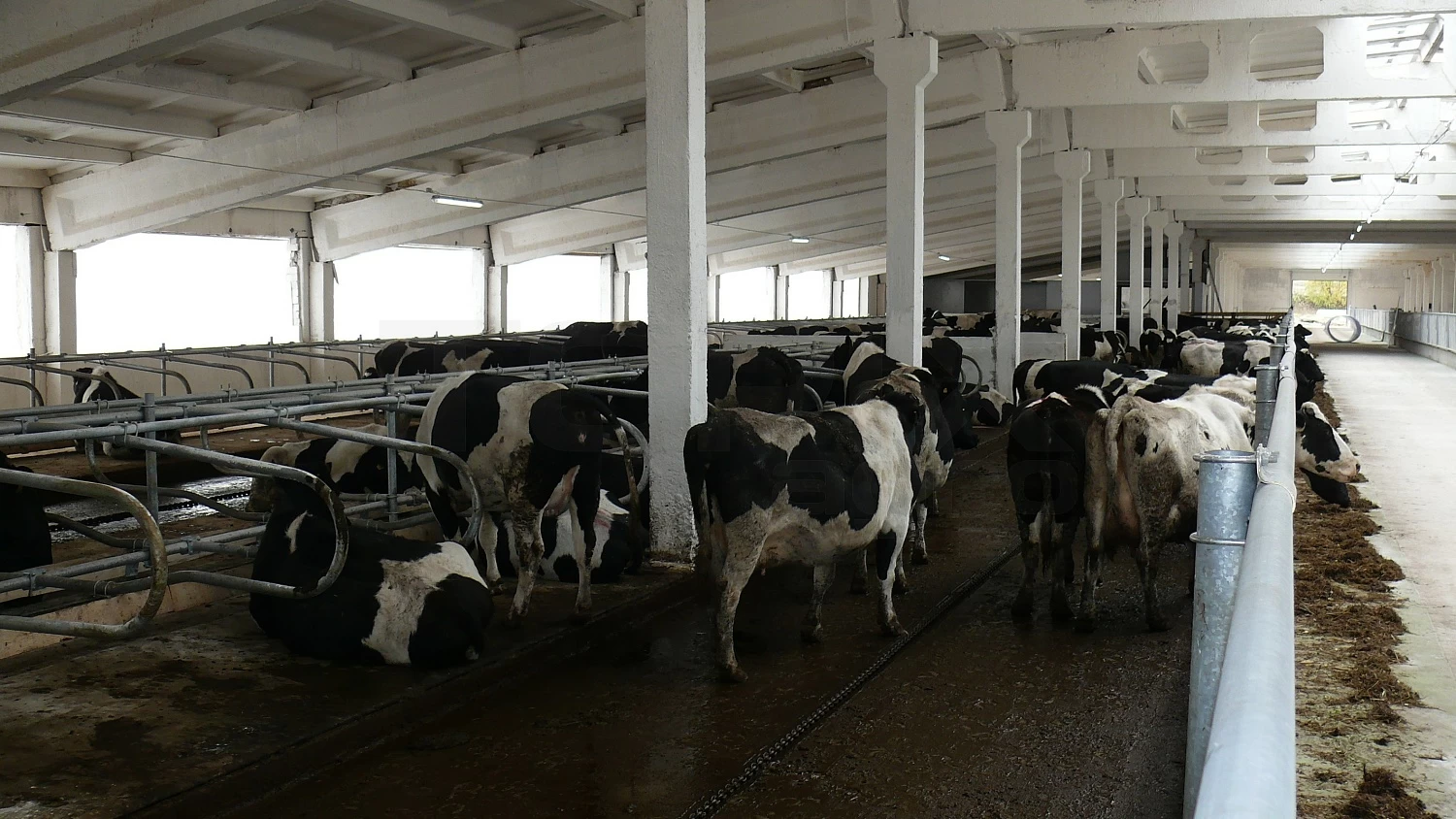 OAO "ТАРАСОВО"