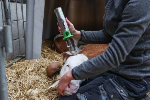 1734 Газовое сопло для GasBuddex Kerbl