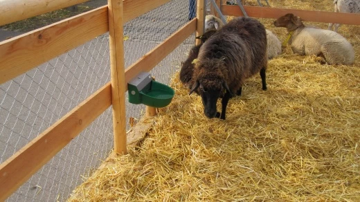 Поилка Suevia модель 130 P