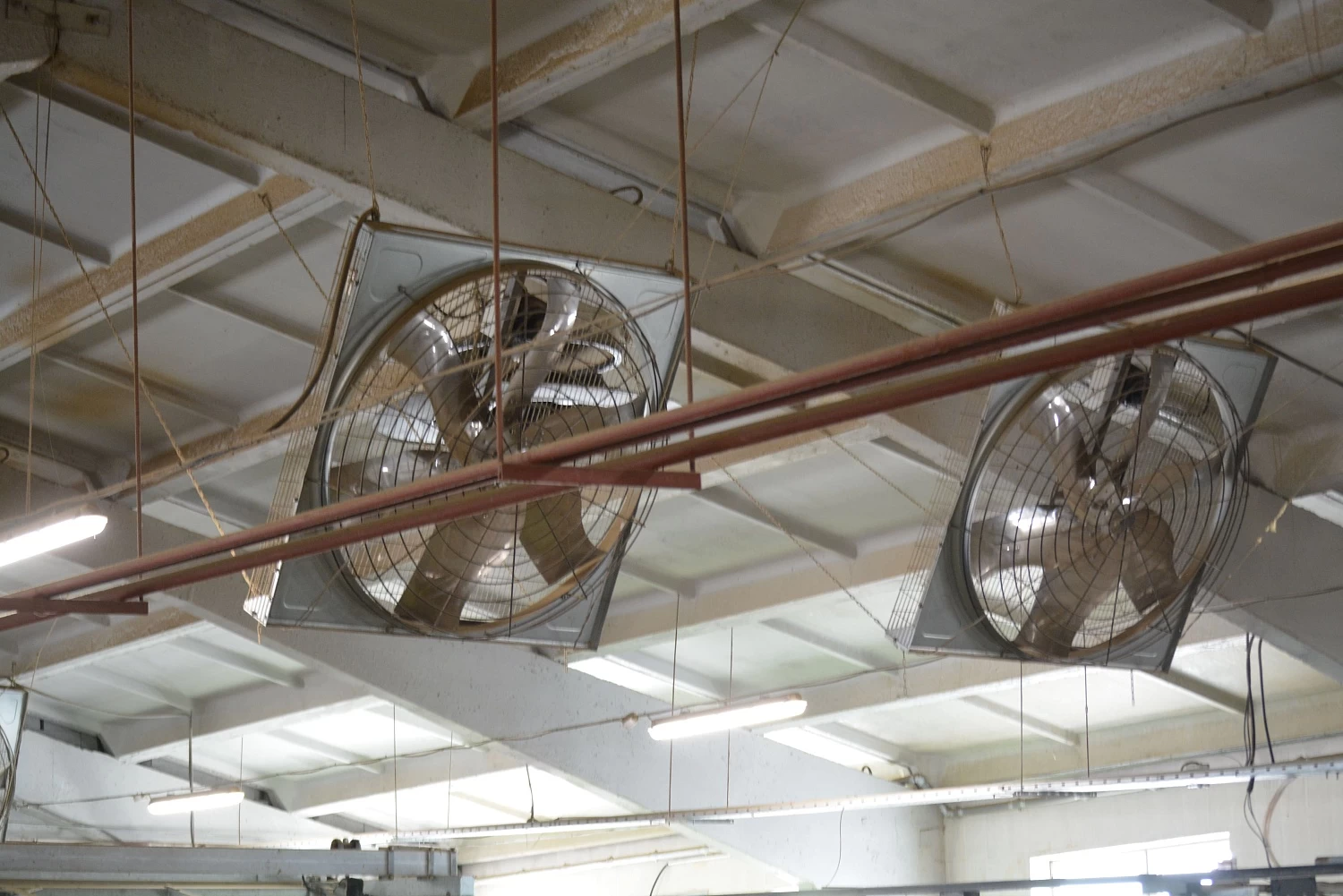 ОАО "КОПЫЛЬСКОЕ"