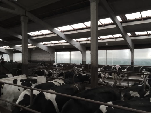 Шторы для коровника поликарбонатные