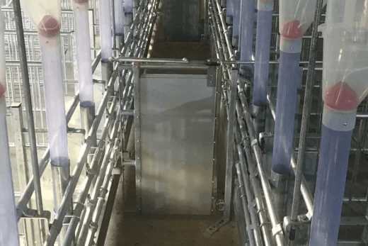 Дверь с длинной ручкой для осеменения свиноматок