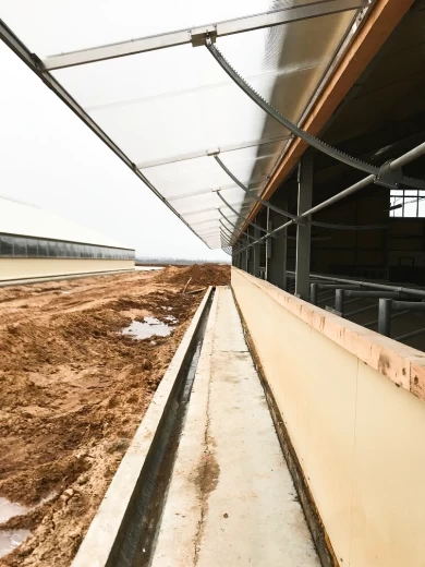 Шторы для коровника поликарбонатные