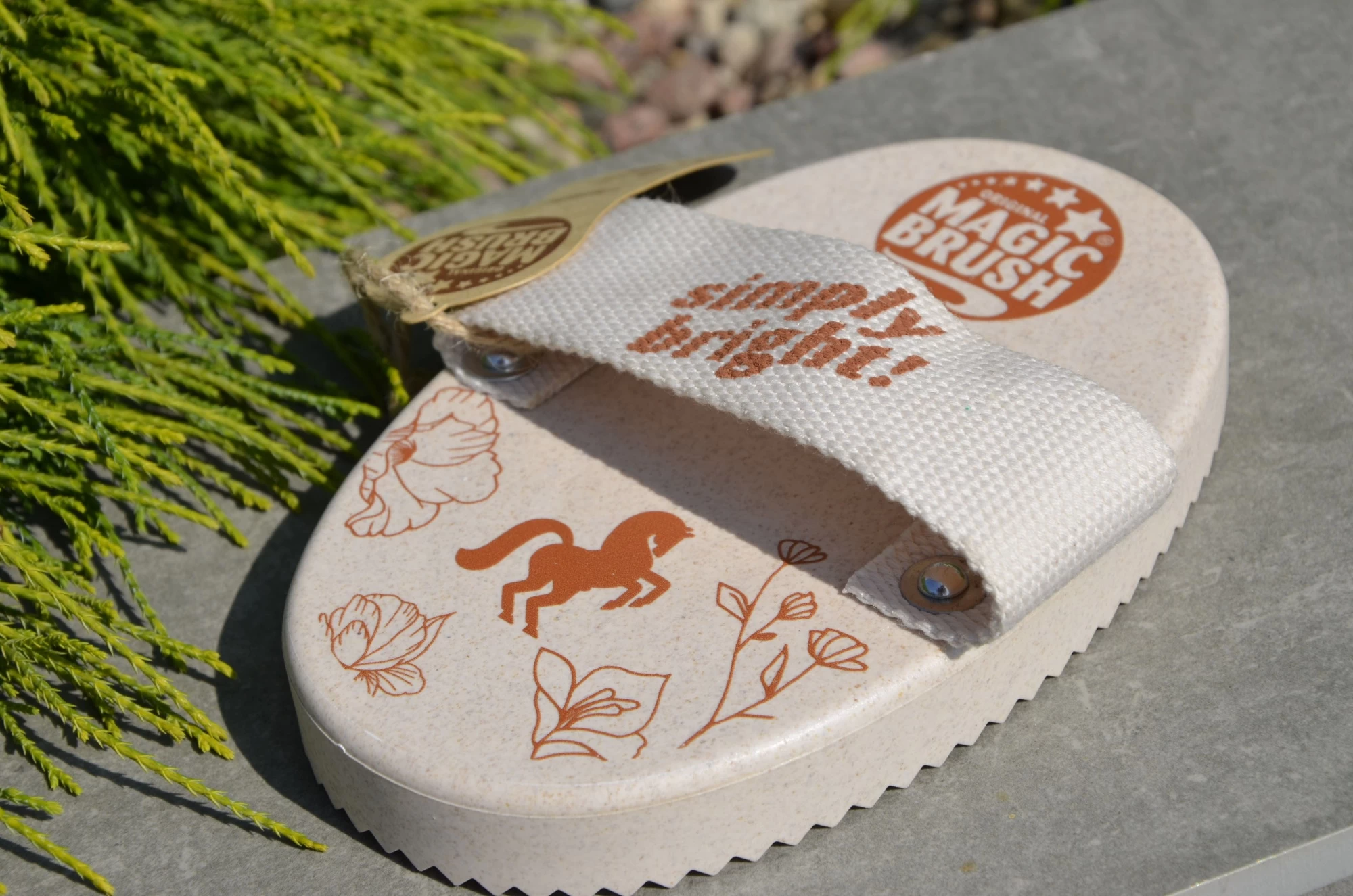 Щетка для лощади 16х11см