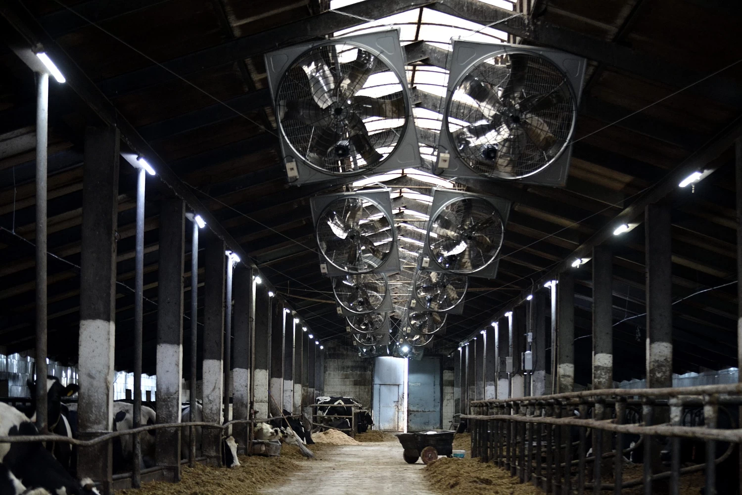 СХК "ВЕЛИКОПОЛЬЕ"