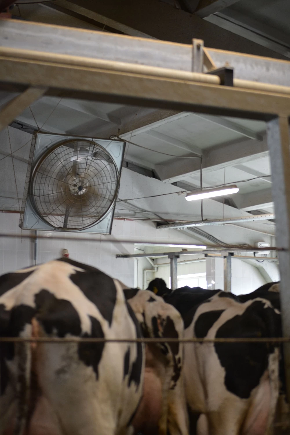 ОАО "КОПЫЛЬСКОЕ"