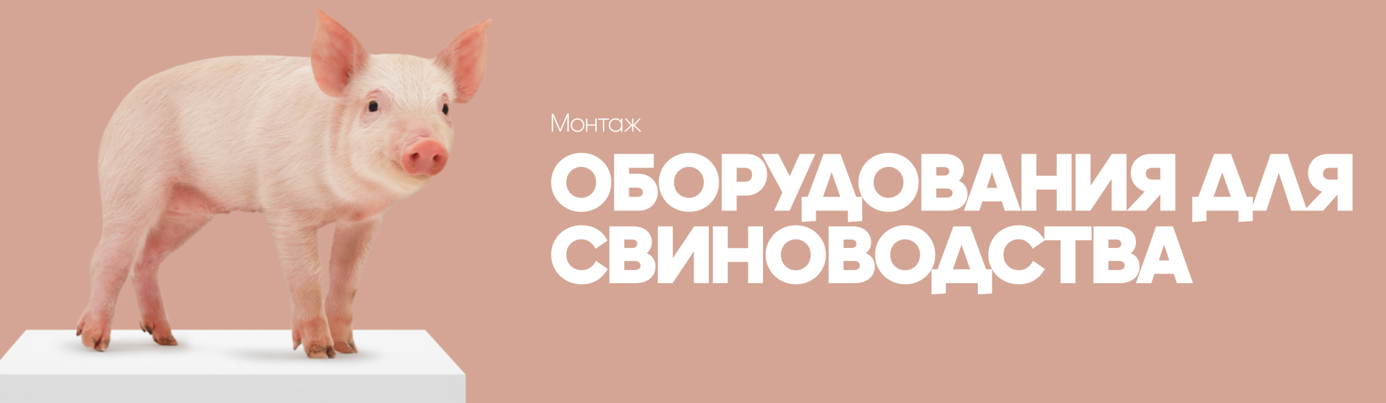 Монтаж оборудования для свиноводства 