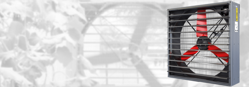 Frame 595 (3)-min.png Frame 595 (3)-min.png