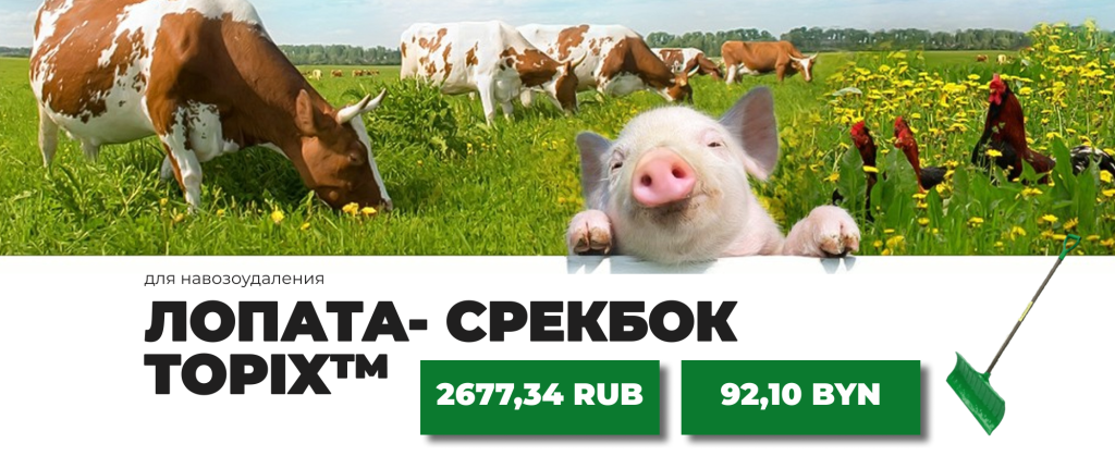 загрузка (6).png загрузка (6).png